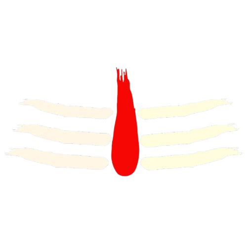 Shivtatava Logo - Vedic Pandit Sujal Upadhyay